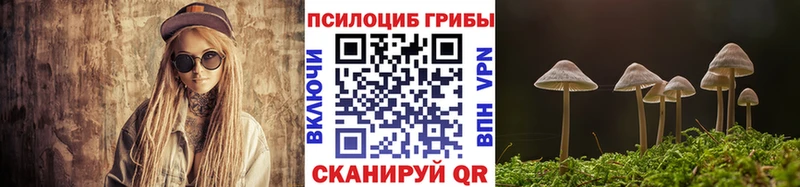дарнет шоп  Калтан  mega ONION  Псилоцибиновые грибы Psilocybine cubensis 